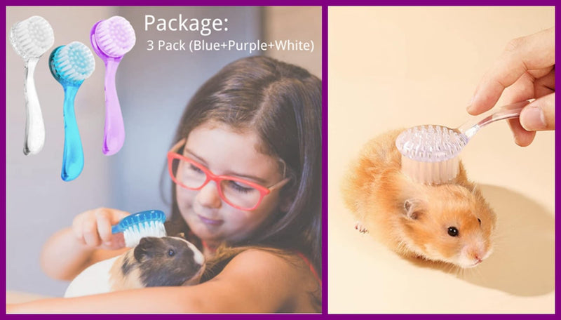 3PC Small Animal Bath Brush with Lid Soft Cleansing Brush Massage Combs for Hedgehog Guinea Pig Rabbit Chinchilla Ferret Small Animal Grooming Tool Cleaning Supplies - BeesActive Australia