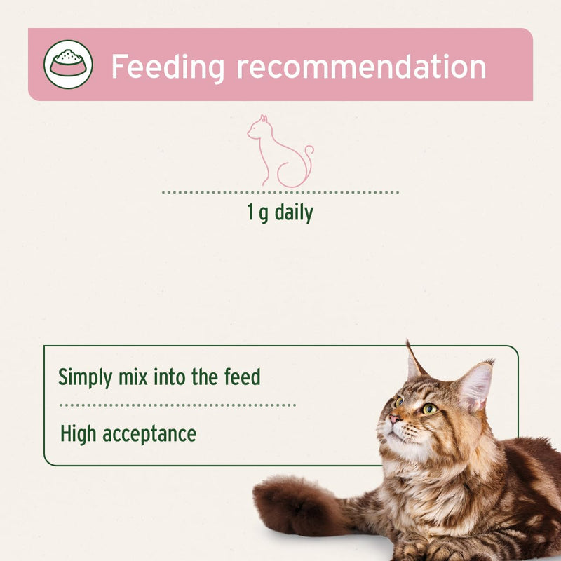 AniForte 4in1 Complete Cat 60 g – Complete Care for Cats, Rich in Antioxidants, Vitamins, Minerals, Powder with Taurine, Collagen for Joints, Nervous System, Immune System, Gastrointestinal Support