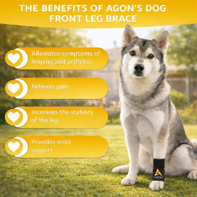 AGON® Dog Canine Front Leg Brace Paw Compression Wraps with Protects Wounds Brace Heals and Prevents Injuries and Sprains Helps with Loss of Stability Caused by Arthritis (XXS/XS) XXS/XS