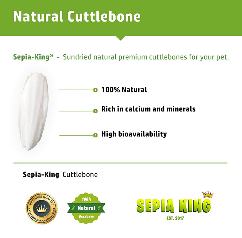 Extra Large - 100% Natural Calcium Supplement - Premium Cuttlebone Perfect for Birds, Tortoises, Snails, Reptiles - Pack of 3 - BeesActive Australia