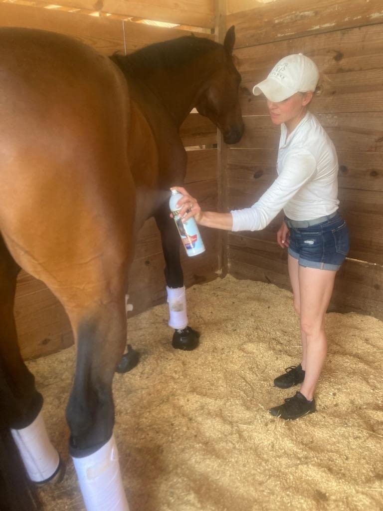 BANIXX Premium Liniment - BeesActive Australia