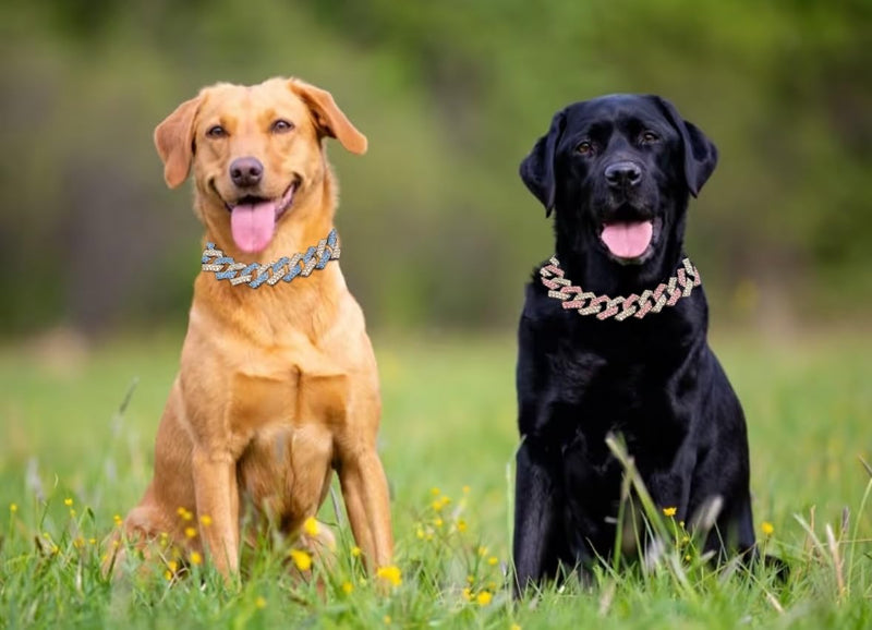 Pink Dog Chain Collar, Dog Necklaces Diamond Cuban Link Dog Collar Rhinestone Bling Glitter Metal Choke,Pet Jewelry for Puppy Small Medium Large Dogs (Pink 20inch) Pink 20 Inch - BeesActive Australia