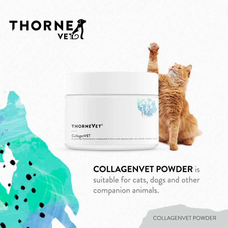 ThorneVet CollagenVET Collagen Powder for Pets - Bovine Collagen Peptide Joint Support Supplement for Healthy Joints, Muscles, Bones, Tendons and Skin - Highly Bioavailable and Digestible - 75 Scoops - PawsPlanet Australia