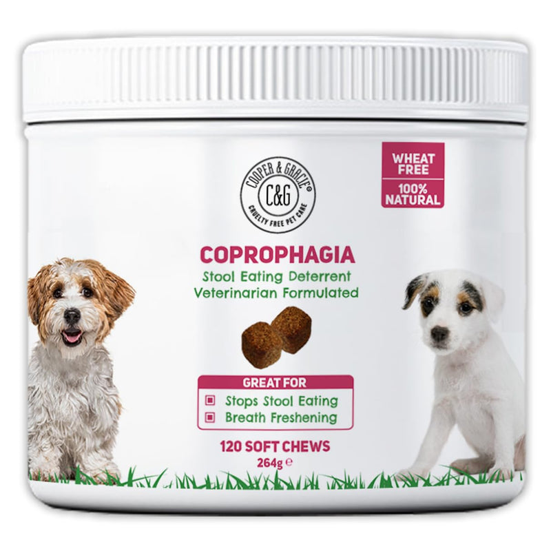 C&G Pets Natural Coprophagia Deterrent Soft Chews | Stool Eating Deterrent | Stool Tastes Foul | Help Neutralize Urine | Reduces Bad Breath | Veterinarian Formulated… (120 Chews) 120 Chews