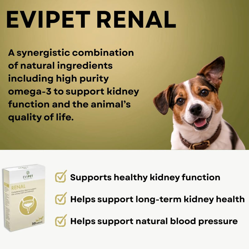 Renal Complementary Feed for Cats and Dogs | 30 Tablets | Helps and Maintains Renal Disorders | Supports the Urinary Tract