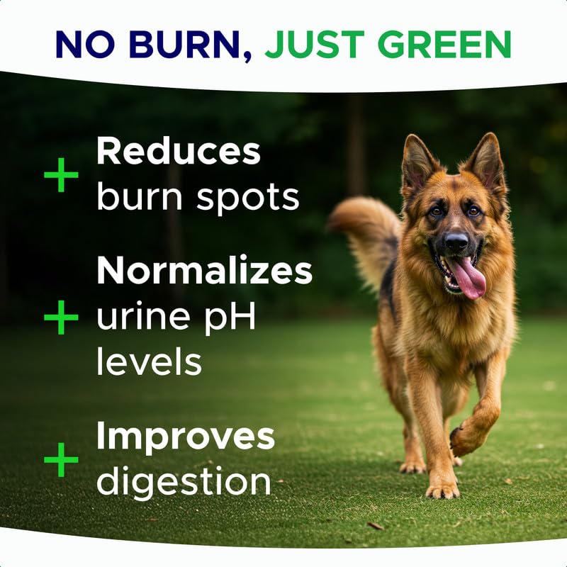 Green Grass Dog Chews for Lawn Protection – Dog Urine Neutralizer for Grass Burn Spots – Lawn Restore Treats – Made in USA – 120Ct Soft Chews 120Ct (Bacon)