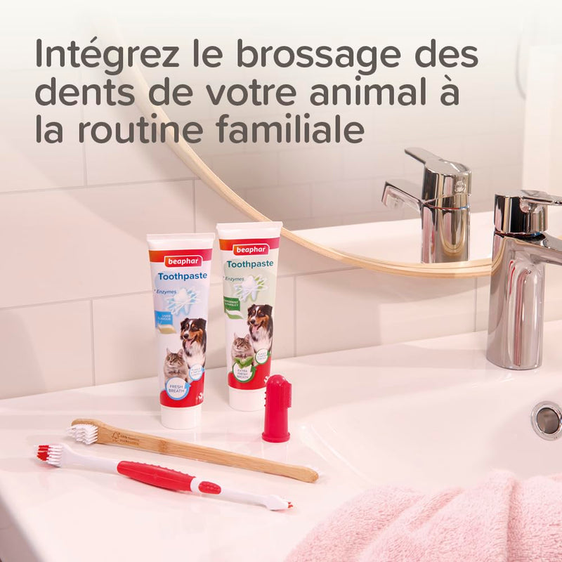 Beaphar Toothbrush Bamboo 1 piece - Double sided brush for dogs and cats