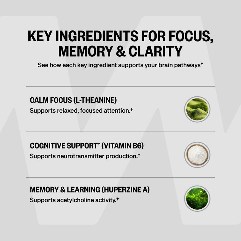 ONNIT Alpha Brain Nootropic Brain Supplement for Focus & Memory, 60 Count | IGEN Non-GMO Tested; L-Theanine, Alpha GPC & Vitamin B6; brain supplement for memory, focus & mental clarity, men & women 60 Count (Pack of 1)