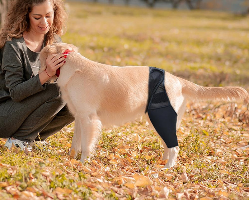 TOEECY Wound protection suits for dogs elbow bandage protector support for cruciate ligament injuries better recovery with dog leg band bandages for front leg hind leg black S - BeesActive Australia