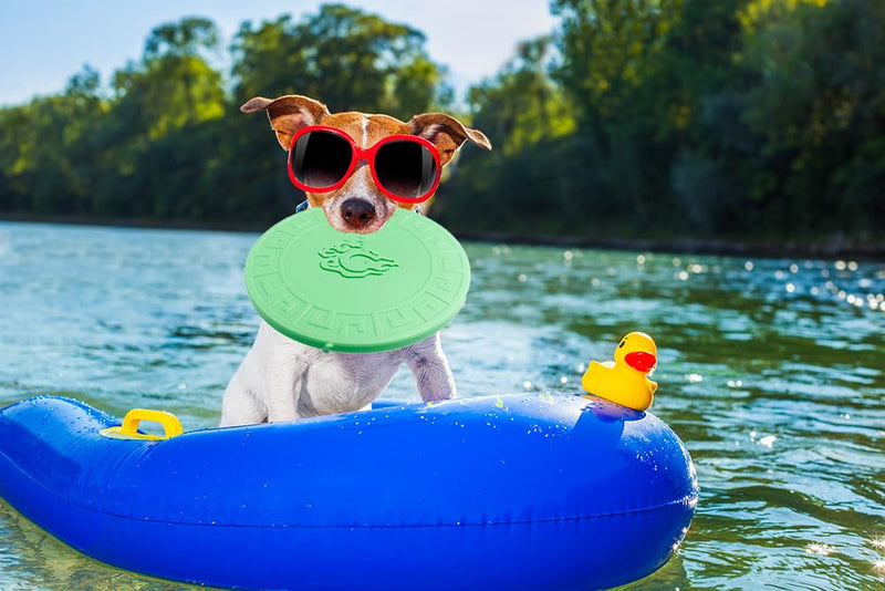 Dog Flying Discs,Natural Rubber Dog Toy for Training Speed and Precise Fetch,Great for Beach and Pool,6 inch Diameter for Medium/Small Breeds (Green) dark green - BeesActive Australia