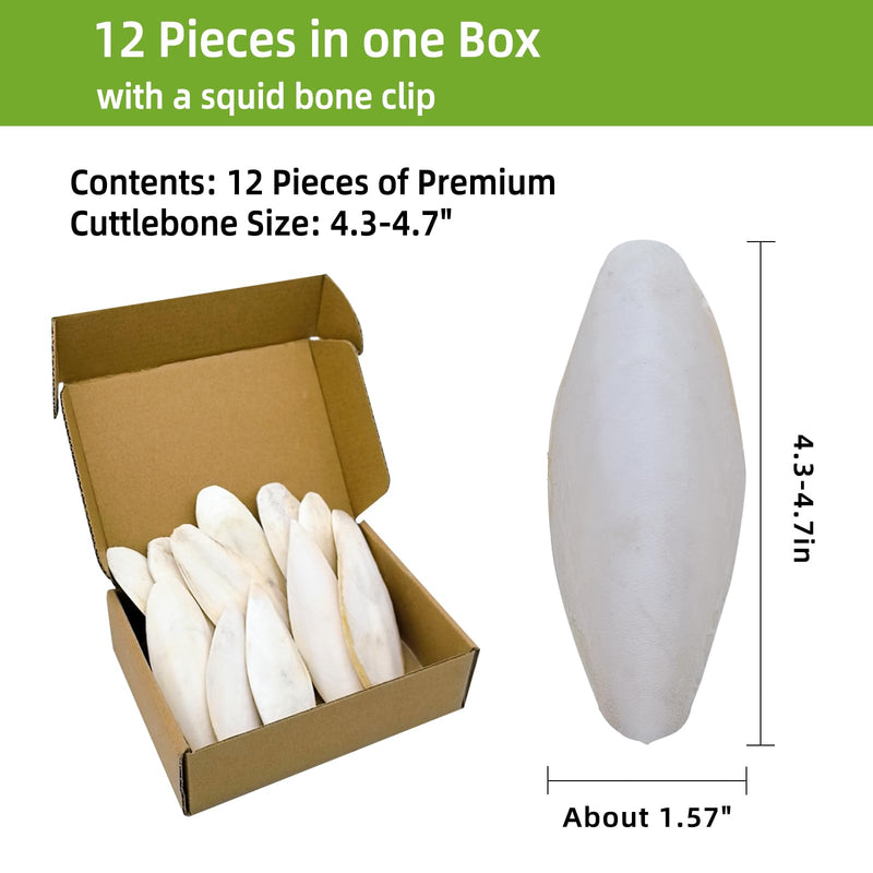 4.3"-4.7" Cuttlebone for Birds,Parakeets Cuddle Bone Beak Trimming,Premium Calcium Natural Cuttlefish Bone for Parrot,Cockatiel,Budgie,Tortoise, Snails,Reptiles,12 Pcs 12 Pcs (4.3"-4.7")