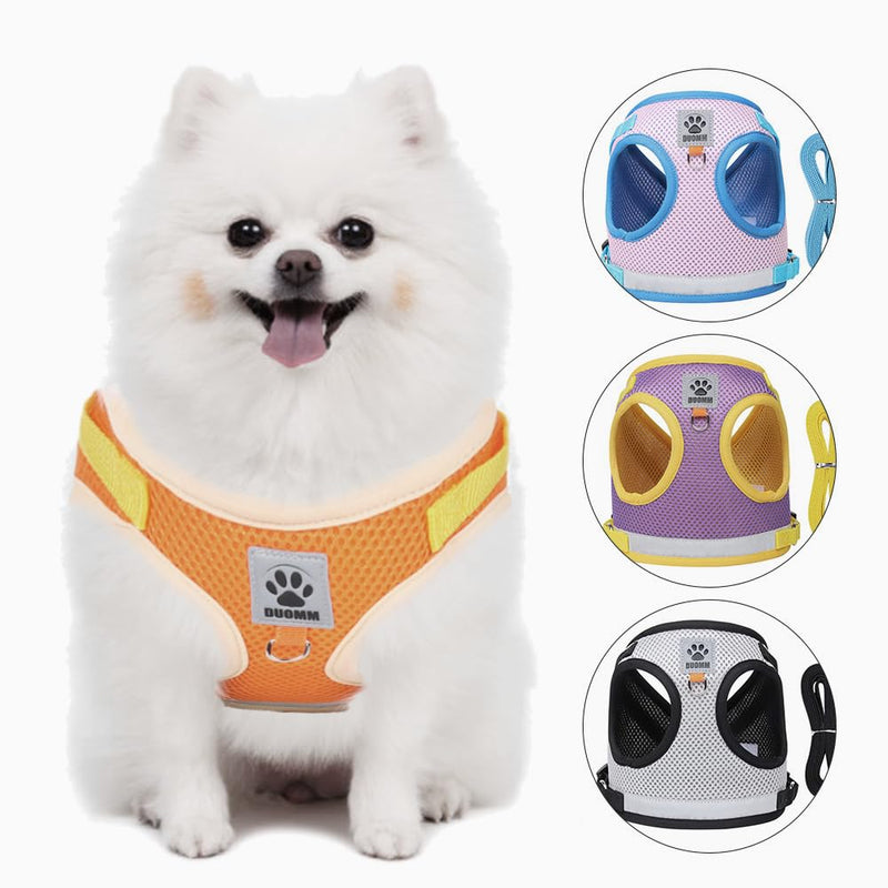 Dog Harness for Small Medium Dogs,No Pull Puppy Harness and Leash Set, Step in Vest Harness for Small Dogs,Adjustable Mesh Dog Harness Puppy Kittens (Purple, XS) Purple - BeesActive Australia