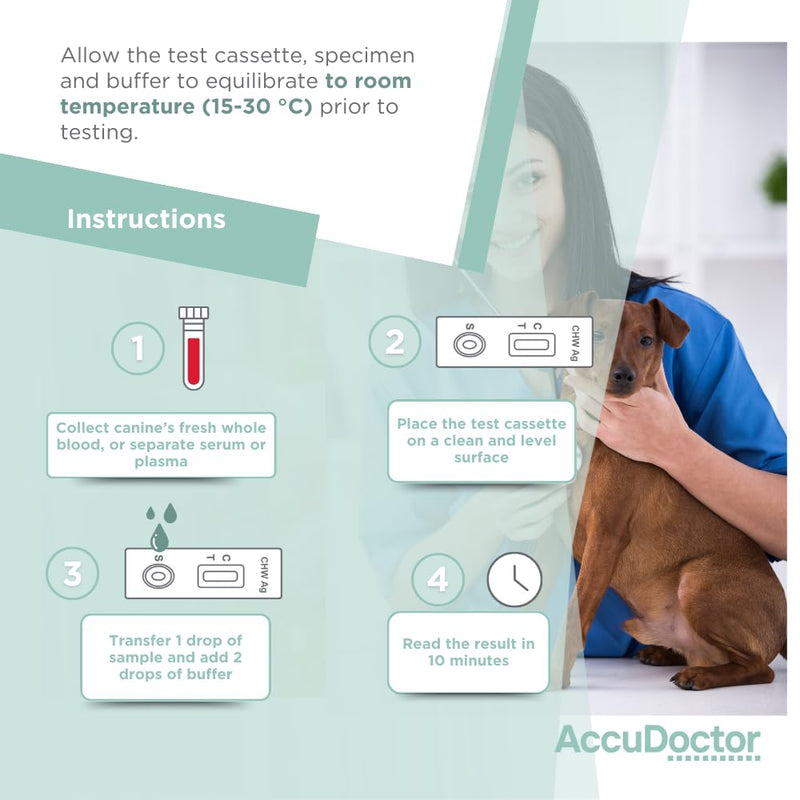 2 Test Accudoctor Heartworm Ag Dirofilariasis CHW Ag Heartworm Disease Dirofilariasis Dirofilaria Pets Dogs Canine Rapid Test Chair Dog Test Dog Dog Pet medium rapid test - BeesActive Australia