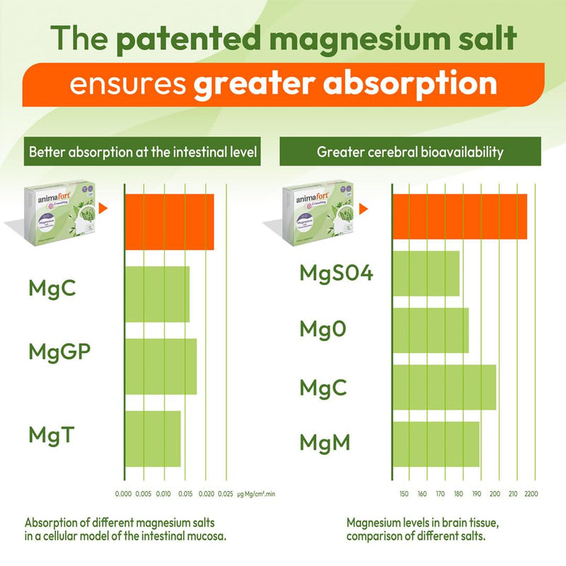 Magnesium Complex for Mind | 6 High-Absorption Salts | Animafort CronoMag | Magnesium citrate, glycinate & AtaMg | Mental function, energy & nervous system | Vitamins B12, D & E | 60 capsules 1
