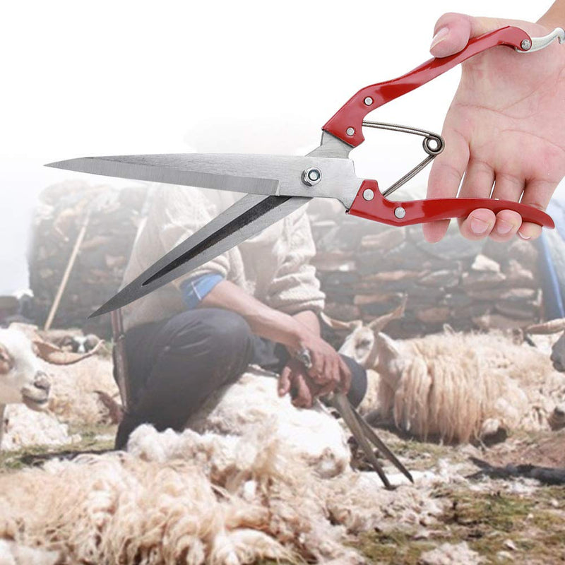Akozon sheep scissors, manual sheep scissors, sheep scissors, hand sheep wool scissors, stainless steel hand scissors, goats and sheep wool trimmer, sheep scissors, wool scissors with spring - BeesActive Australia