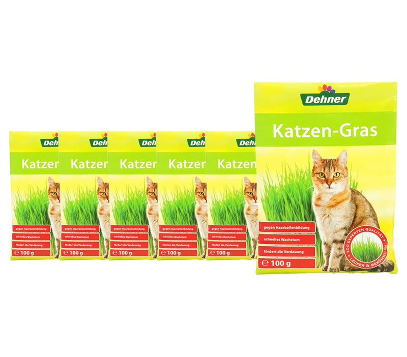 Dehner Favorite Cat Grass Seeds, Pack of 6 (600 g) - BeesActive Australia