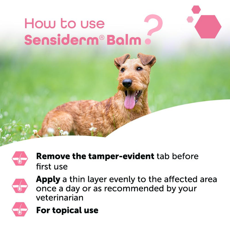 MP Labo Sensiderm® Balm 50 ml - Nose and Paw Pad Protector - Dogs and Cats - Fragrance-Free