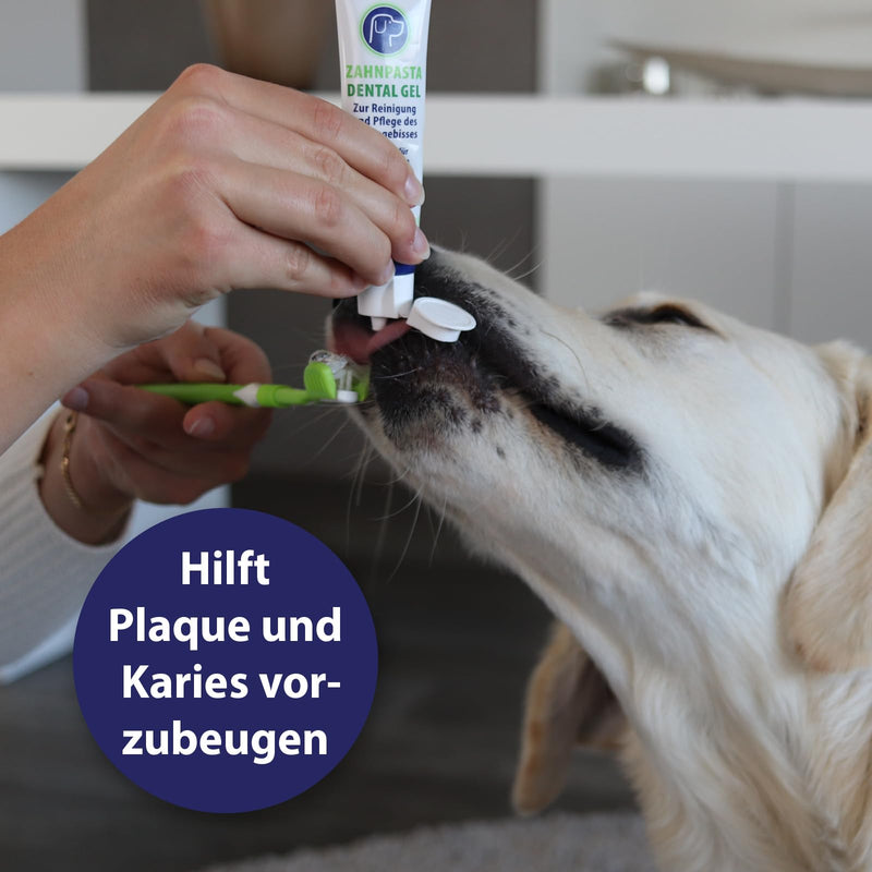 Canosept dog toothpaste dental gel 100g - toothpaste for dogs - dog toothpaste - dog toothpaste - dog dental care - for bad breath dog - dog toothpaste - dog toothpaste against tartar - BeesActive Australia