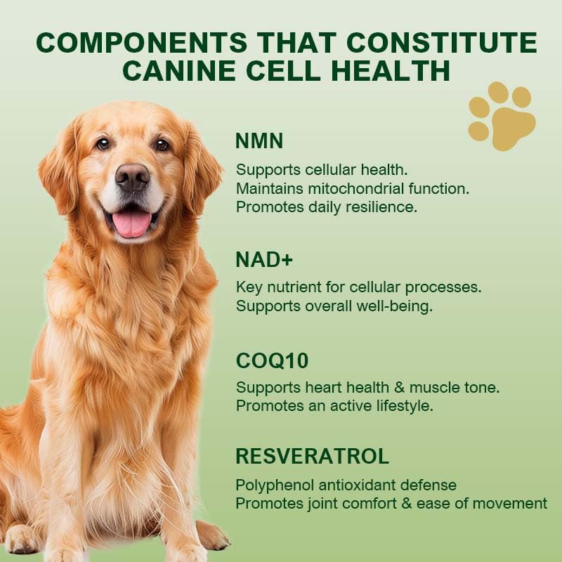 NMN Supplement for Dogs NAD+ Booster - Anti-Aging & Longevity Soft Chews for Senior Dogs with Resveratrol, CoQ10, Glucosamine & Omega-3-3-in-1 Cellular Energy, Joint & Skin Support Bacon 90Ct