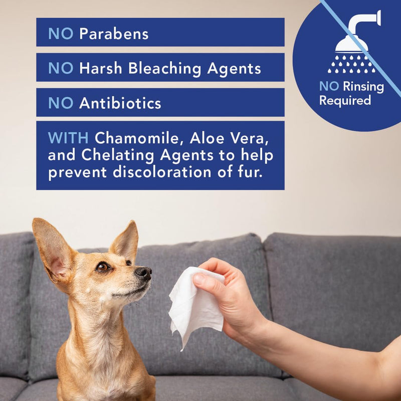 ANGELS’ EYES Face, Eye & Paw Cleansing & Tear Stain Wipe, Large 4”x7” Hypoallergenic Dog & Cat Wipes, Reduce Tear Stains, Dirt, and Discharge, Fragrance Free, 40 Count - BeesActive Australia
