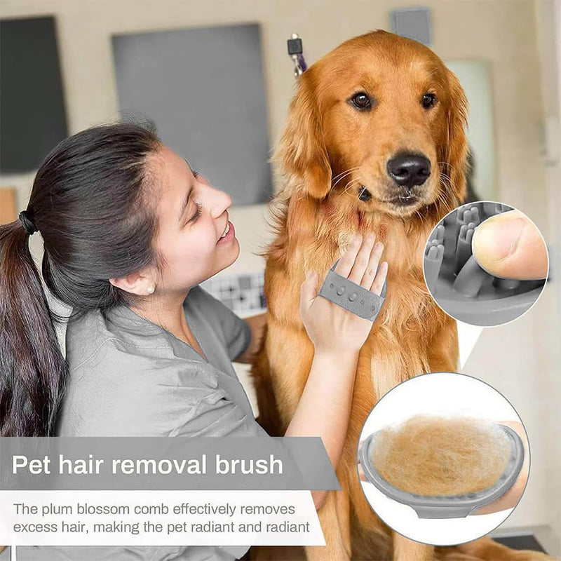 Groomify Pet Care Brush, Groomify Brush Dog, Pet Deshedding Brush with Pet Bath Brushes, Waggytails Brush, Paw Star Dog Brush, Pet Hair Removal Grooming Brush For Cats And Dogs - BeesActive Australia