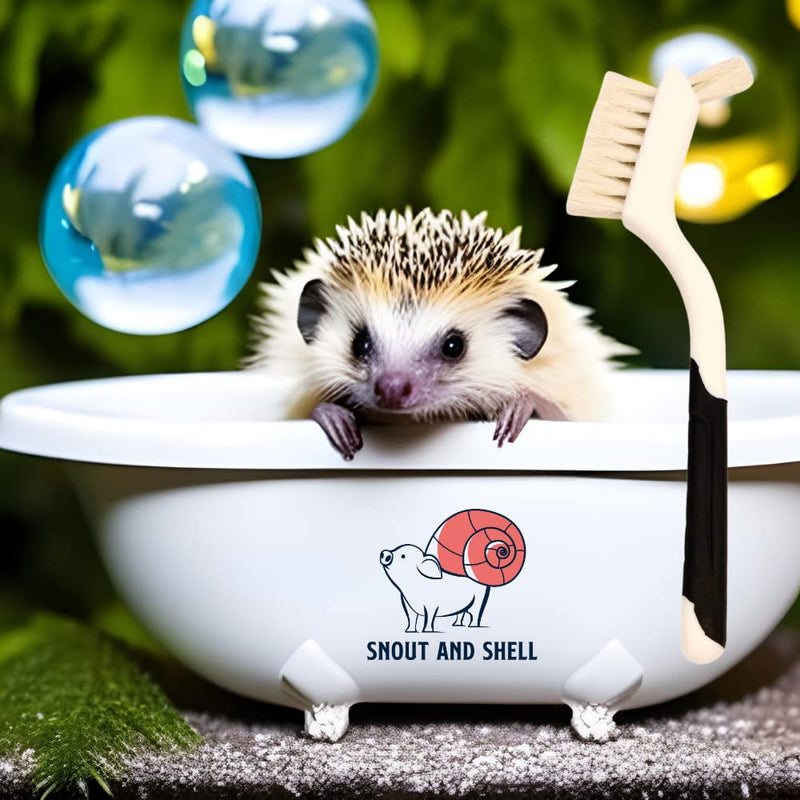 Snout and Shell Hedgehog Bath Supplies Kit - Soft Goat Hair Cleaning Brush - Perfect Hedgehog Grooming, Hygiene, and Care Essentials - Gentle Pet Bath Brush for Small Animals - BeesActive Australia