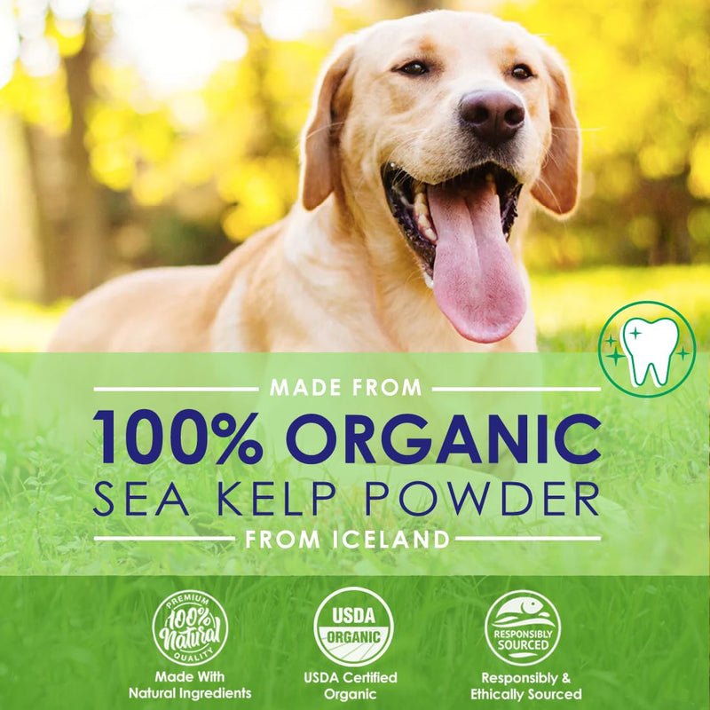 Dog Teeth Cleaning Powder, Dog Plaque and Tartar Remover, Bad Breath Treatment for Dogs with USDA Organic Sea Kelp Powder, Dog Dental Care Made Easy, for All Ages, 6oz - PawsPlanet Australia