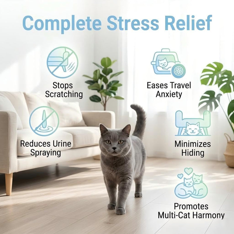 Cat Pheromone Calming Diffuser Gel, Unplugged Cordless Container, 1 Pack, Comforting Scent for Home and Car Travel, Lasts Up to 2 Months