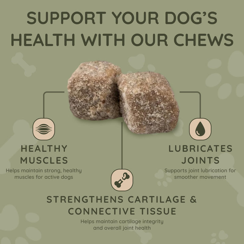 Asher House Wellness Hip and Joint Supplement for Dogs - Natural Soft Chew with MSM, Chondroitin, Glucosamine, Vitamins - Promotes Joint Health & Pain Relief Senior & All Dog Breeds, Large, 120 Chews - PawsPlanet Australia