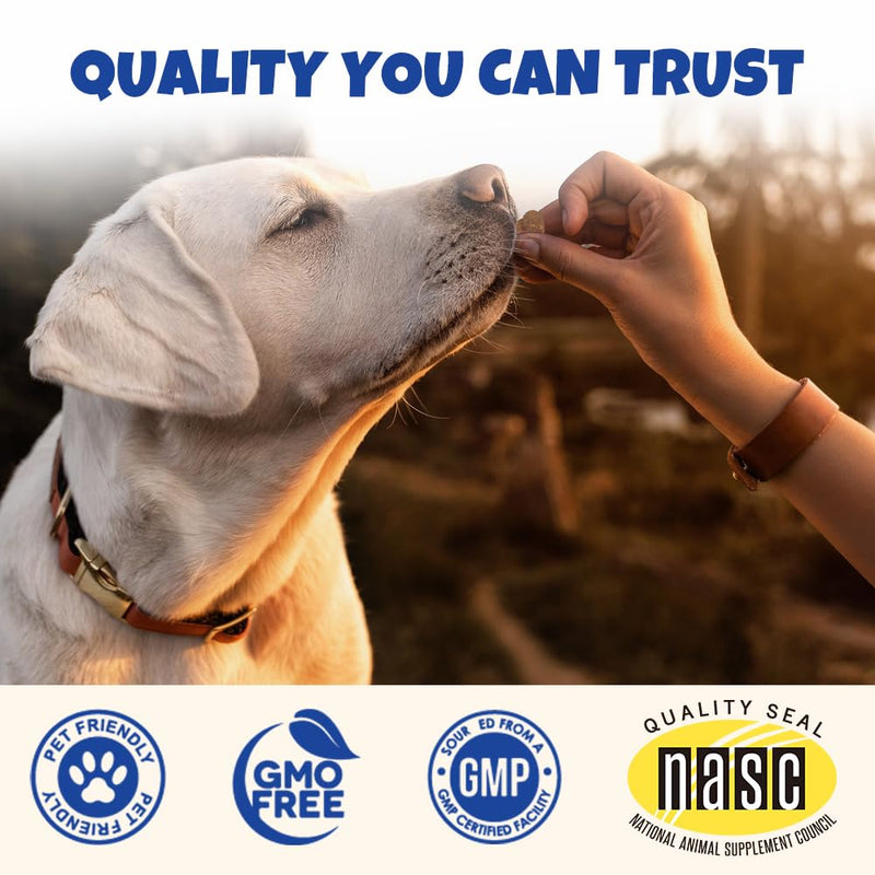 Probiotics for Dogs, Instant Diarrhea Relief, Dog Immune Support Chews, Digestive Health, Skin Irritation, Allergies, 6 Billion CFU's, 90 Pork Flavor Soft Chews for All Dog Sizes