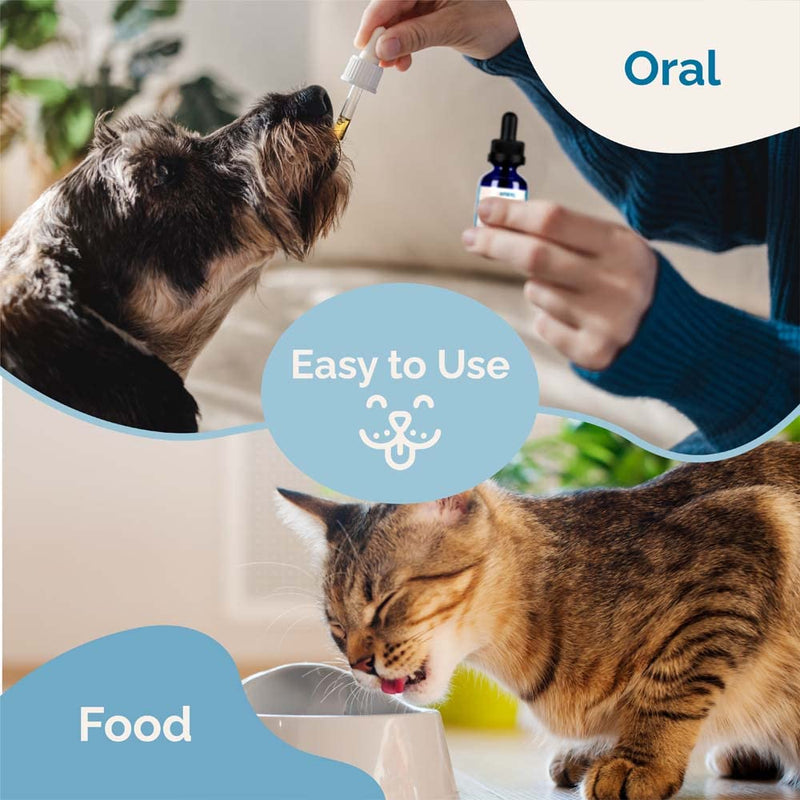 PranaPets Liver Supplement for Pets Naturally Aids in Healthy Liver Function for Dogs & Cats | Herbal Formula Helps Relieve Abdominal Pain, Indigestion & Inflammation of Liver & Gallbladder - PawsPlanet Australia