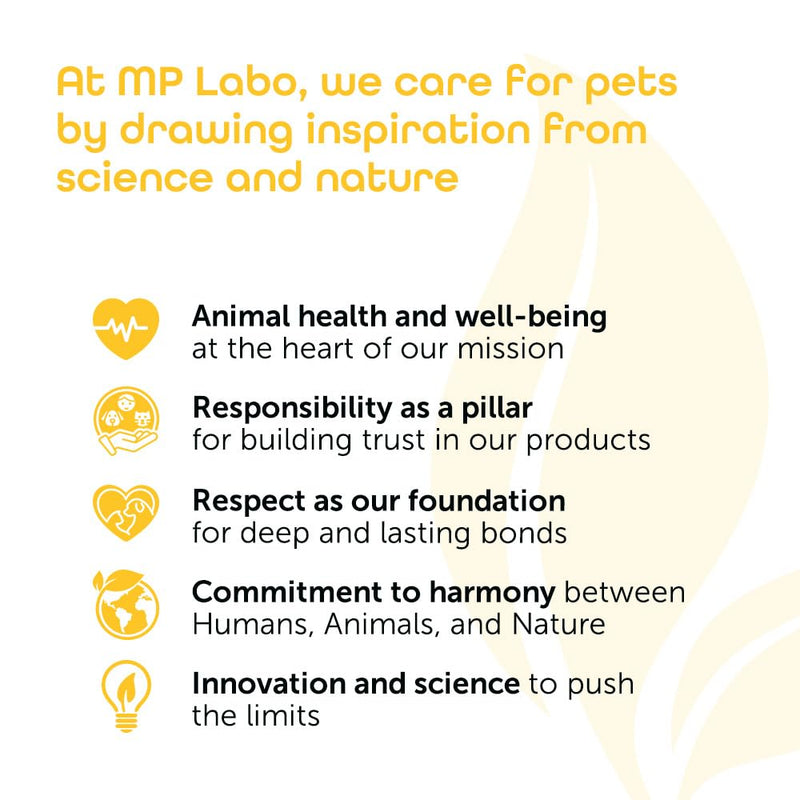 Honeyderm Balm for Cats & Dogs – Soothing Honey Balm for Dry or Irritated Skin, Minor Wounds & Cracks – Safe, Fragrance-Free, 62g Tube