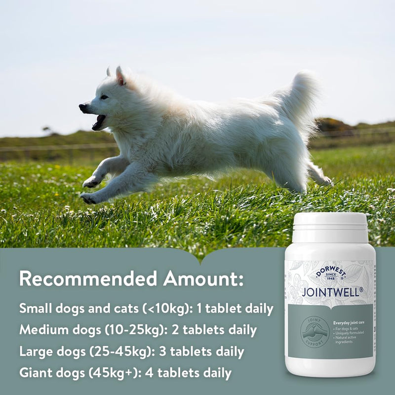 Dorwest JointWell 200 Tablets for Dogs & Cats – Natural Dog Supplements to Support Joint Mobility and Comfort, with Glucosamine, Chondroitin, Zinc, Vitamin C and Hyaluronic Acid