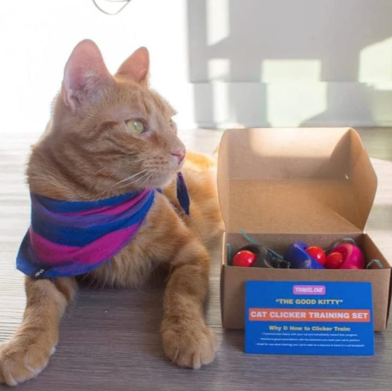 TRAVEL CAT Clicker Training Kit - 3 Pack Cat and Puppy Training Clicker with Button and Wrist Strap for Cats Behavior, Rewards Training - Red, Blue and Black Pet Training Clicker with Loud Click Sound - BeesActive Australia
