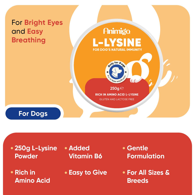 animigo L-Lysine For Dogs 250g - For Sneezing, Watery Eyes & Reduced Appetite - With Added Vitamin B6 & Magnesium - Rich in Amino Acid - For Dog's Natural Immunity - Scoop Included