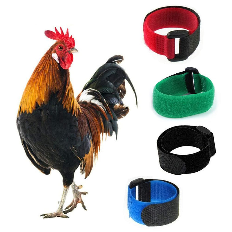 2Pcs Black and Red Crow Rooster Collar, Crow Collar, Rooster Collar, Neck Belt for Roosters Cockerel Velcro Nylon Prevent Chickens from Screaming Basic Collars - BeesActive Australia
