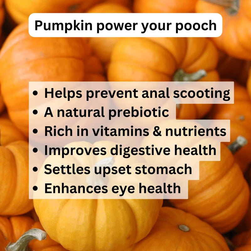 Pumpkin powder for dogs (200g) - Dog food topper and puree