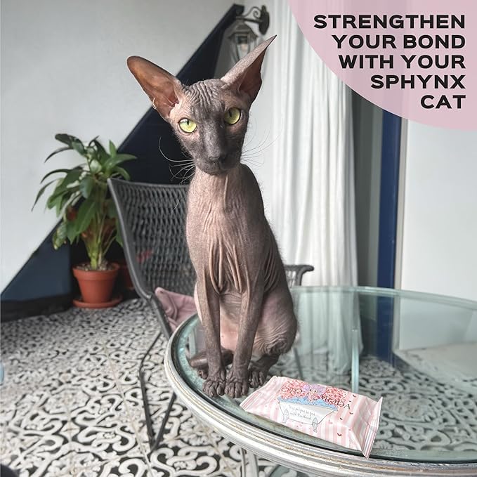 Wet Wipes with Panthenol for Sphynx and Shorthair Cats for Everyday use (3Pack/45Count) - PawsPlanet Australia