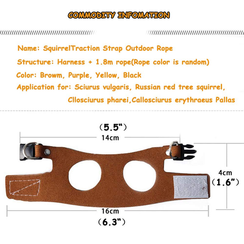 Squirrel Traction Rope Strap Anti-Biting Chain Rope, Adjustable Vest, Small Animal Walking Harness with Lead Leash, Hamster Gerbil Rat Mouse Ferret Chinchilla Small Animal Walking Leash Black - BeesActive Australia
