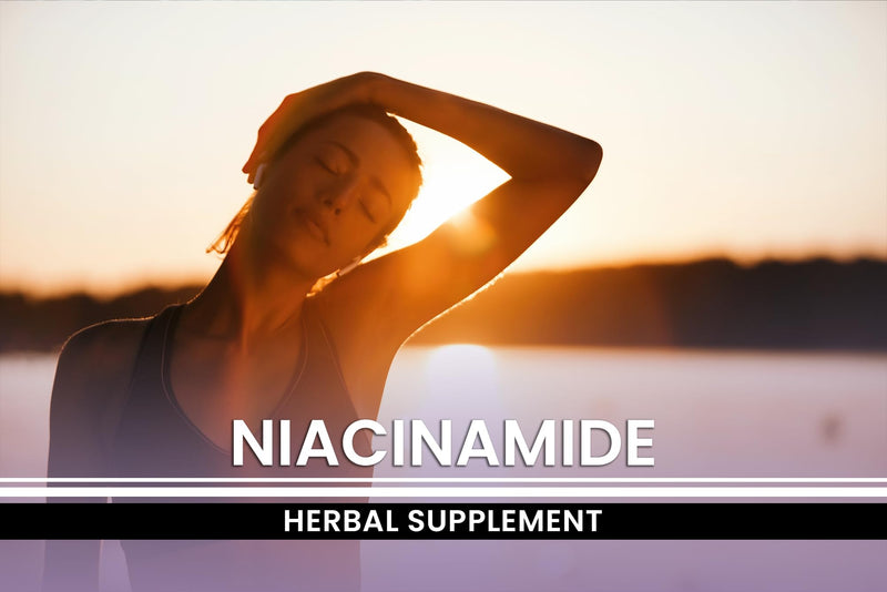 PURE ORIGINAL INGREDIENTS Niacinamide (730 Capsules) No Magnesium Or Rice Fillers, Always Pure, Lab Verified 730 Count (Pack of 1)