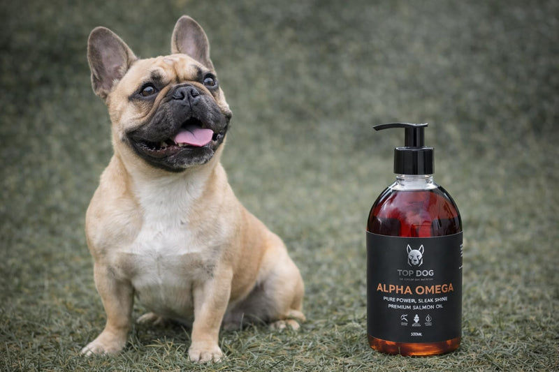 Alpha Omega Premium Salmon Oil for Dogs – Skin & Coat Support