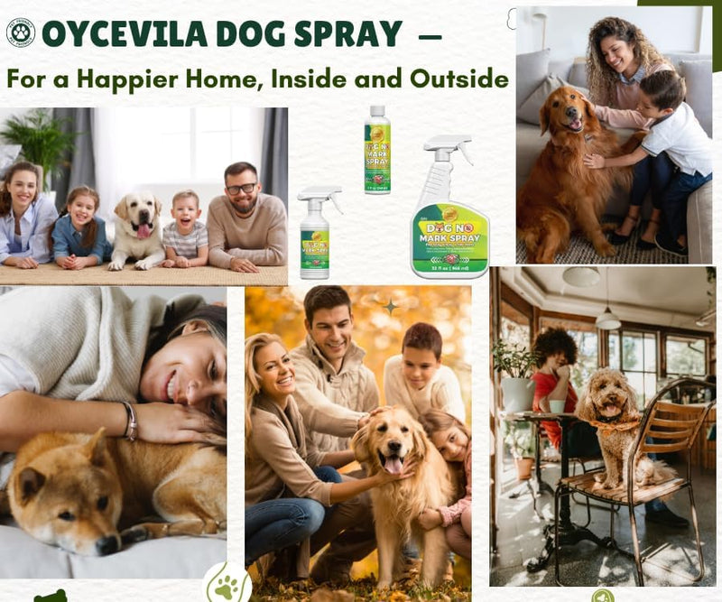 16oz Dogs No Wrong Pee Spray - Dog Training Solution for Housebreaking - No Marking Indoor Solution - Housebreaking Aid - No Pee No Mark Spray 18.6 Fl Oz