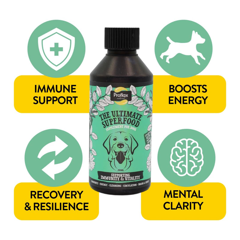 Proflax Immunity & Vitality Immune Support for Dogs – Energy, Recovery & Daily Wellbeing - 500ml 500 ml