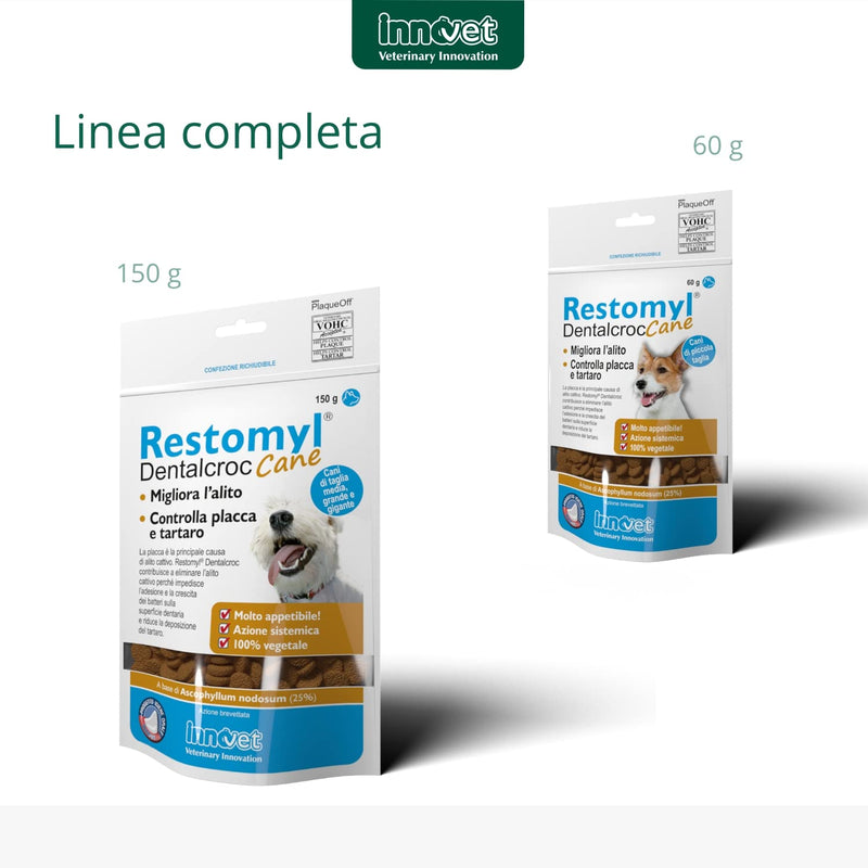 RESTOMYL DENTALCROC 60G
