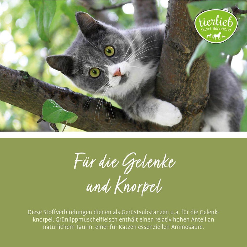 tierlieb green-lipped mussel capsules for cats | 90 capsules - BeesActive Australia