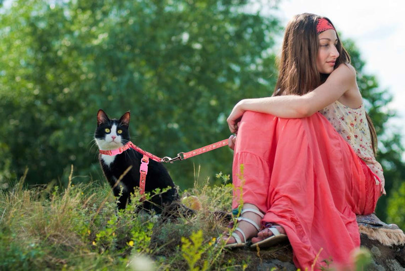 Cat Harness and Leash Set Gold Moons Stars Soft Nylon Escape Proof Adjustable for Kittens Small Animals Glow in The Dark (Pink) Pink - BeesActive Australia