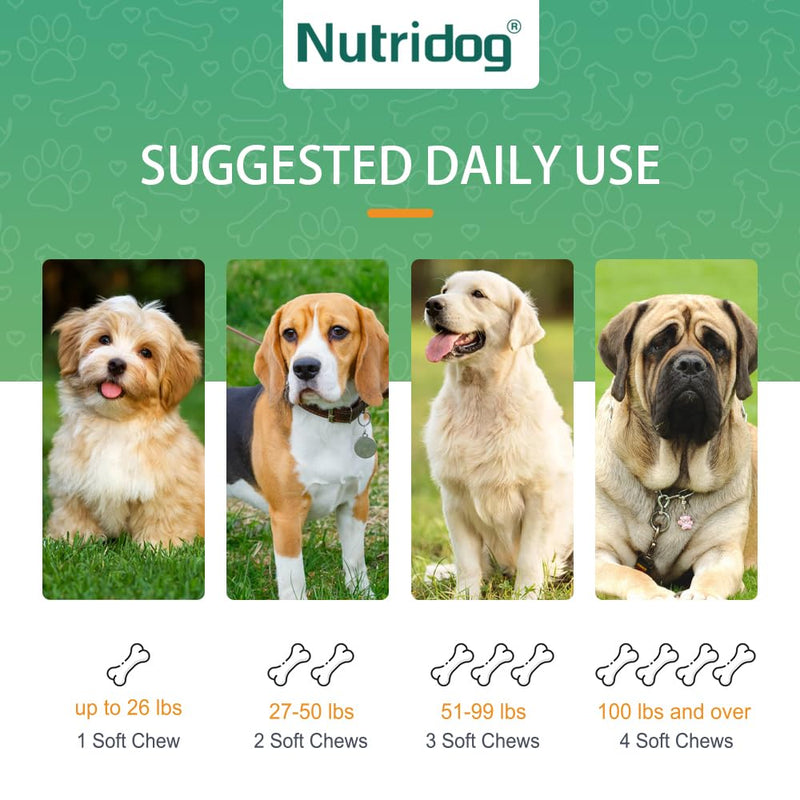 Allergy Powder for Dogs, 90g Salmon Flavor - Itch Relief & Immune Support with Probiotics, Quercetin & Salmon Oil | Vet-Approved Formula for Seasonal Allergies & Sensitive Skin (Salmon)