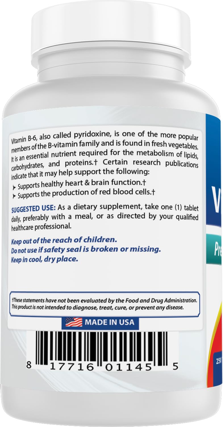 Best Naturals Vitamin B6 Tablet, 100 mg, 250 Count (Pack of 2) 250 Count (Pack of 2)