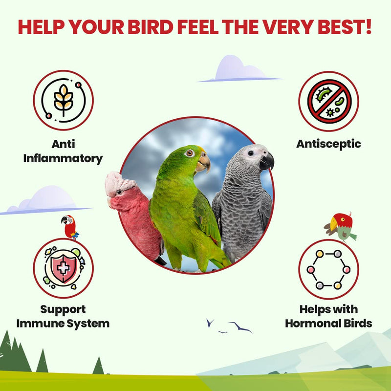 Bird Street Bistro Parrot Tea 3oz - Parakeet & Cockatiel Food Vitamin Substitute - Bird Health Supplies - Bird Food Topper Rising Phoenix 3 Ounce (Pack of 1)