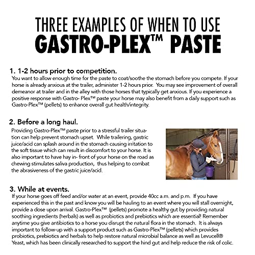 MVP Gastro-Plex Paste 5-Pack (10 doses) Gastric Stress Relief Paste for Horses - BeesActive Australia